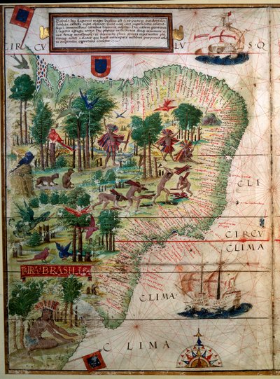 Hydrografisk kart over Brasil. Manuskript belyst "" Portuguese Nautical Atlas"" av kartograf Loppo Homem 1519 Paris. B.N. av Lopo Homem