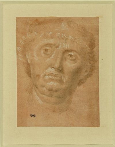  av Lorenzo di Credi