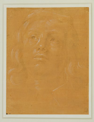  av Lorenzo di Credi