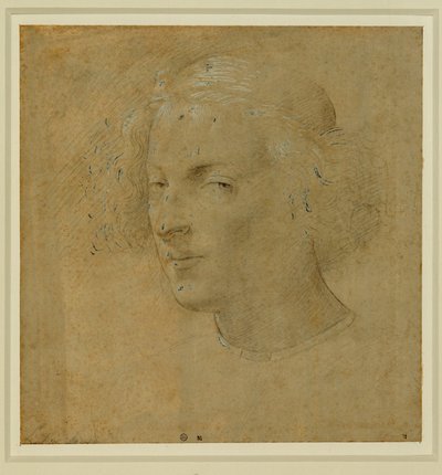  av Lorenzo di Credi