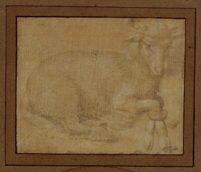  av Lorenzo di Credi