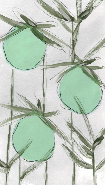 Sammendrag: Green Botanicals av Lori Ann Folz