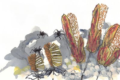 Botaniske Banksia-edderkopper av Lori Ann Folz