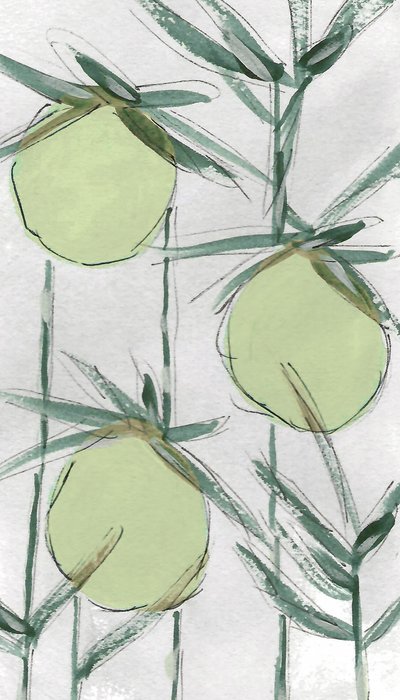 Fresh Green Botanicals av Lori Ann Folz