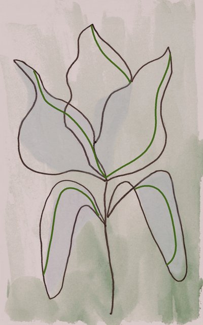 Minimalistisk botanisk skisse av Lori Ann Folz