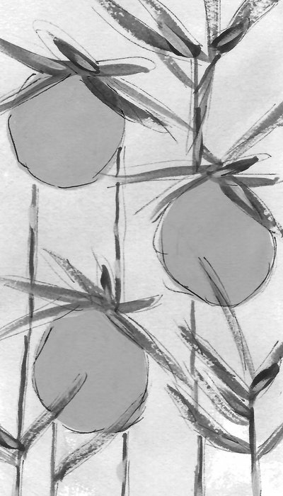 Organic Ink Botanicals av Lori Ann Folz