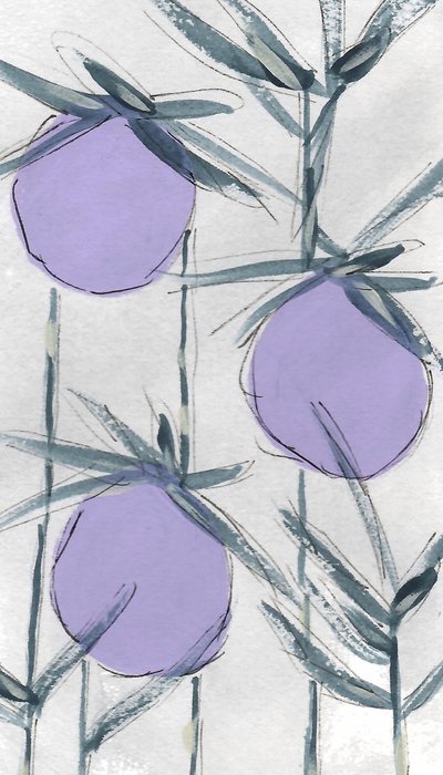 Lilla botaniske frukter av Lori Ann Folz