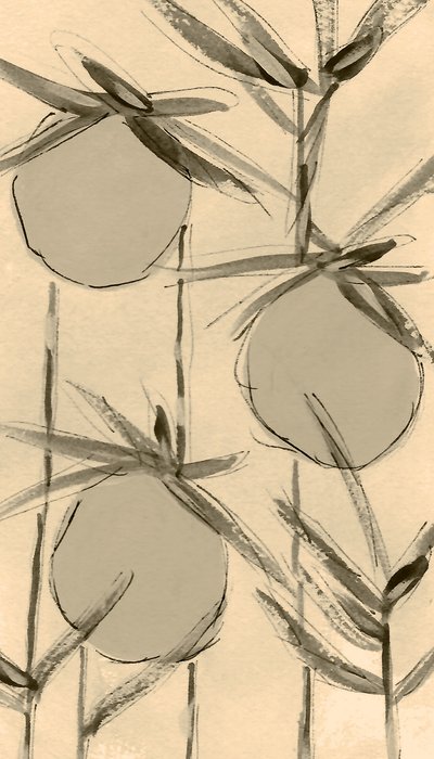  av Lori Ann Folz