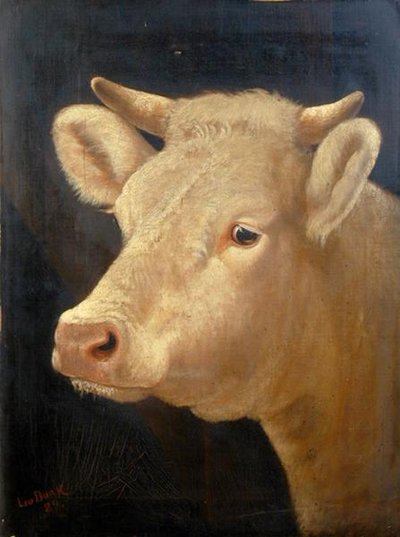Hodet til en ku av Lou Burk