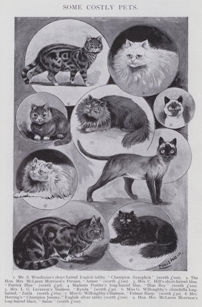 Noen kostbare kjæledyr (litho) av Louis (after) Wain