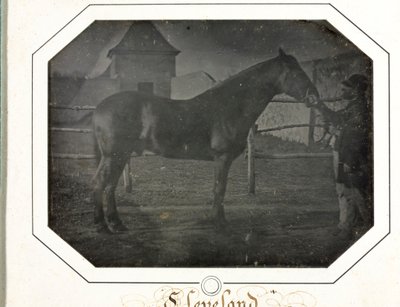 Cleveland, ca. 1842-1843. av Louis Auguste Bisson