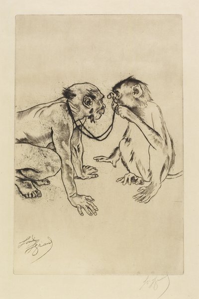 Sammenlignende anatomi av Louis Auguste Mathieu Legrand