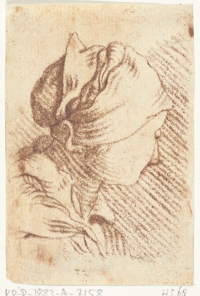 Studieark med et kvinnehode med et skjerf av Louis Bernard Coclers