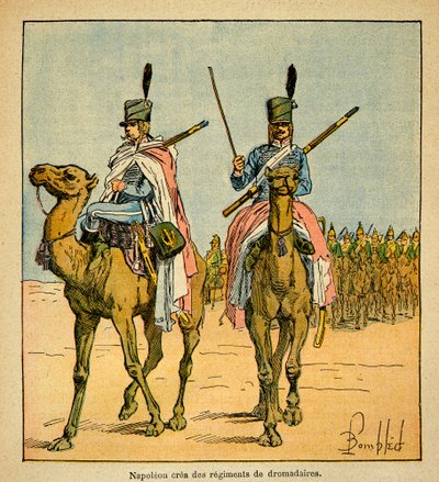 Illustrasjon av Bombled Louis (1862-1927) fra boken "The Memorial of Saint Helene" av grev Emmanuel de Las Cases (1766-1842): Under den egyptiske kampanjen opprettet Napoleon Bonaparte regimenter av kameler, privat samling av Louis Charles Bombled