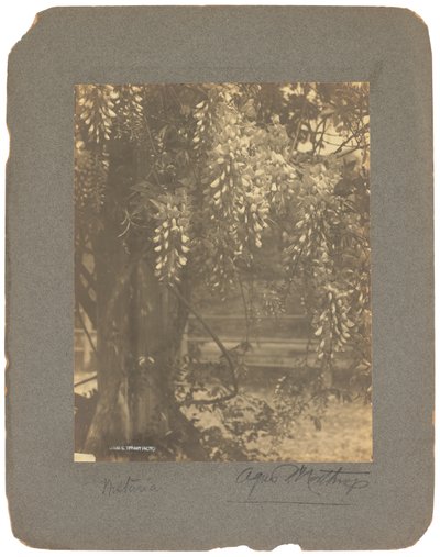 Tiffany Studios, ca. 1898-1920 (fotografi s/h) av Louis Comfort Tiffany