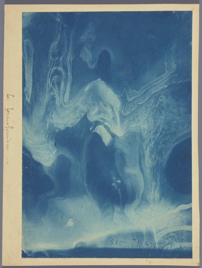 Le transformisme / Sic transit (tittel på objekt) av Louis Ducos du Hauron (attributed to)