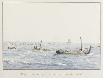 Koraalvissers for de kust av Sicilië ter høyde av Terra Nuova Korallfiske på kysten av Sicilia mot Terra Nuova (tittel på objekt) Reiser i Italia, Sicilia og Malta - 1778 (serietittel) av Louis Ducros