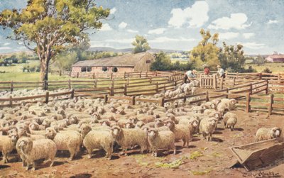 Scene på en australsk sauestasjon (farge litho) av Louis Fairfax Muckley