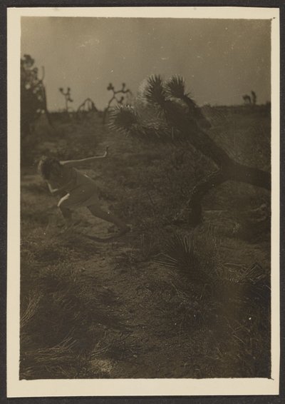  av Louis Fleckenstein