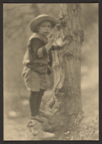  av Louis Fleckenstein