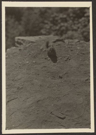  av Louis Fleckenstein