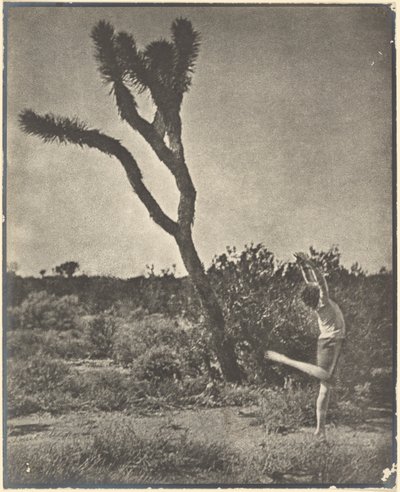 [Danser ved Joshua Tree] av Louis Fleckenstein