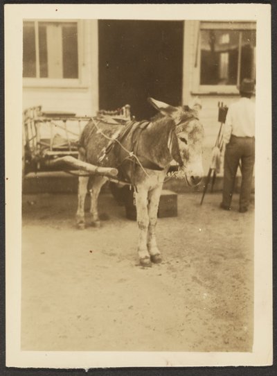  av Louis Fleckenstein