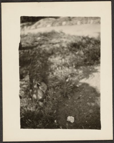  av Louis Fleckenstein