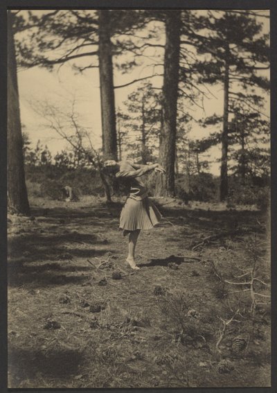  av Louis Fleckenstein