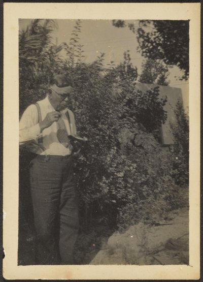  av Louis Fleckenstein
