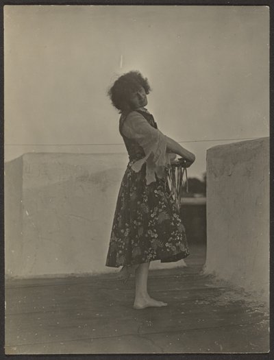  av Louis Fleckenstein