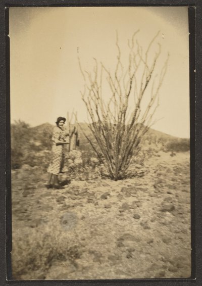  av Louis Fleckenstein