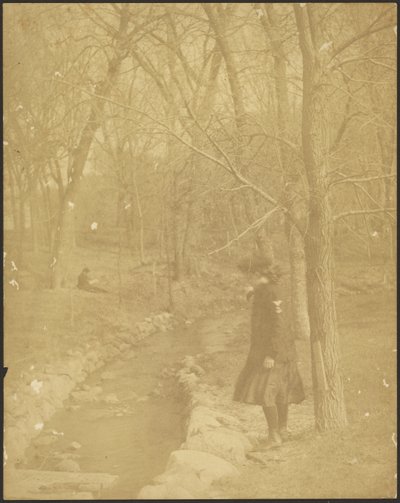  av Louis Fleckenstein