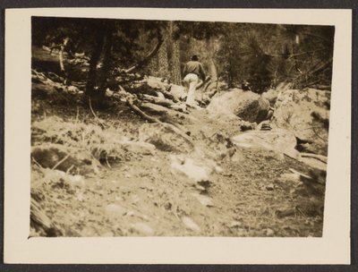 [Landskap] av Louis Fleckenstein