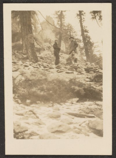  av Louis Fleckenstein