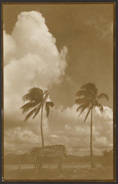  av Louis Fleckenstein