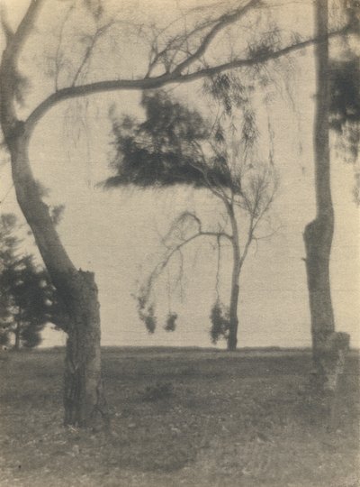  av Louis Fleckenstein