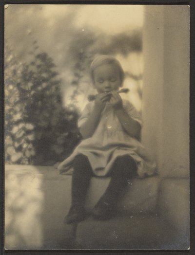  av Louis Fleckenstein