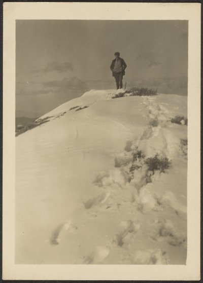  av Louis Fleckenstein