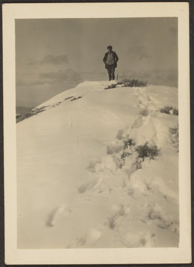  av Louis Fleckenstein
