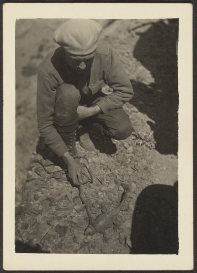  av Louis Fleckenstein