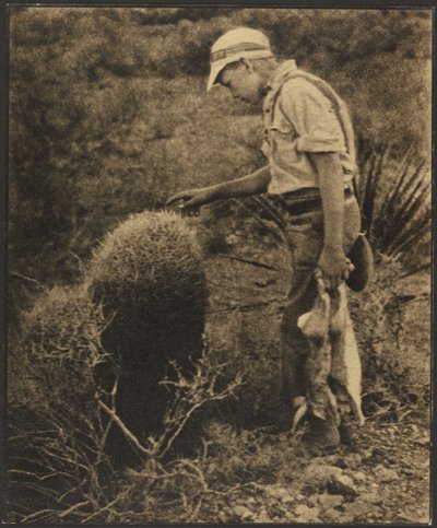  av Louis Fleckenstein