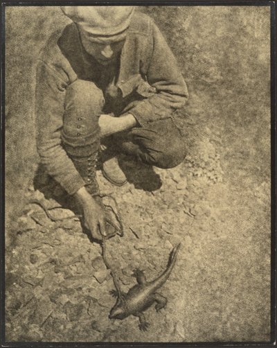  av Louis Fleckenstein