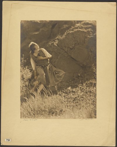  av Louis Fleckenstein