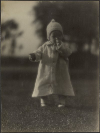  av Louis Fleckenstein