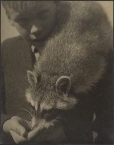  av Louis Fleckenstein