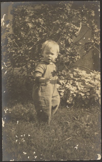  av Louis Fleckenstein