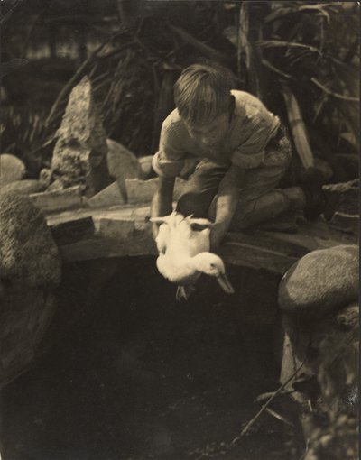  av Louis Fleckenstein