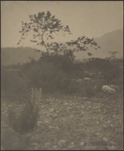  av Louis Fleckenstein