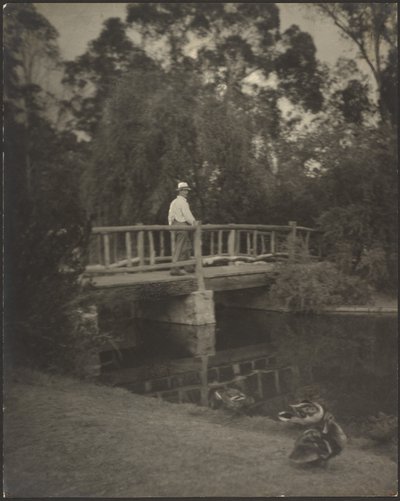  av Louis Fleckenstein